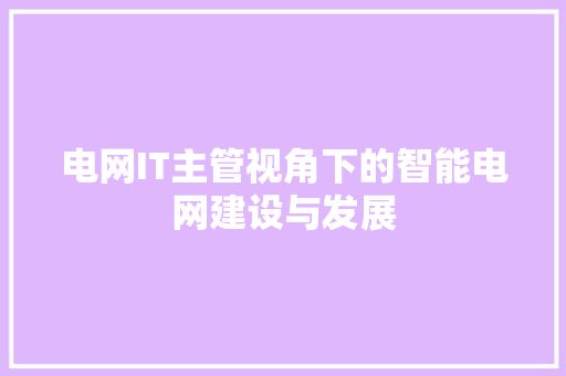 电网IT主管视角下的智能电网建设与发展