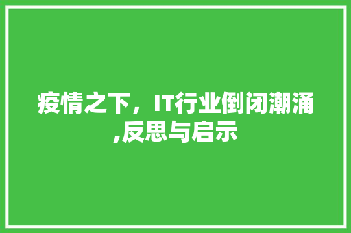 疫情之下，IT行业倒闭潮涌,反思与启示