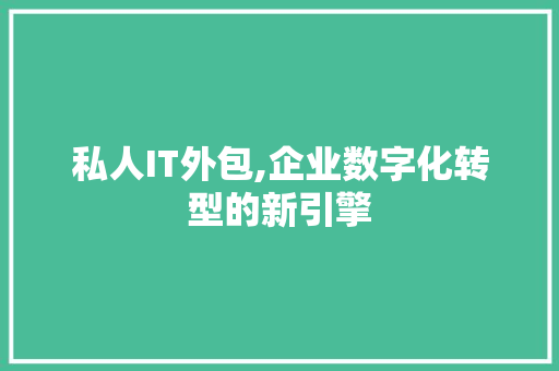 私人IT外包,企业数字化转型的新引擎