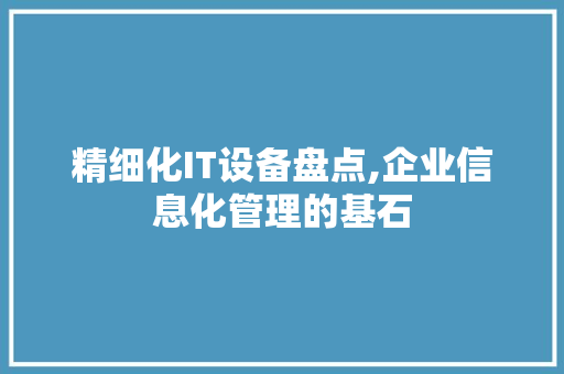 精细化IT设备盘点,企业信息化管理的基石