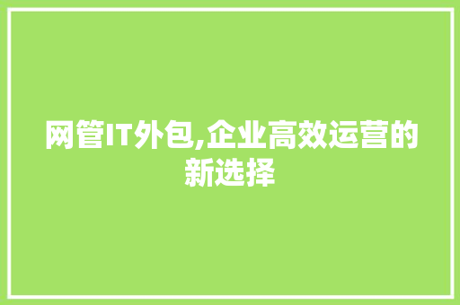 网管IT外包,企业高效运营的新选择