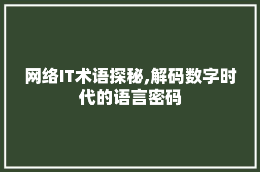 网络IT术语探秘,解码数字时代的语言密码