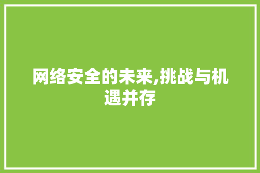 网络安全的未来,挑战与机遇并存