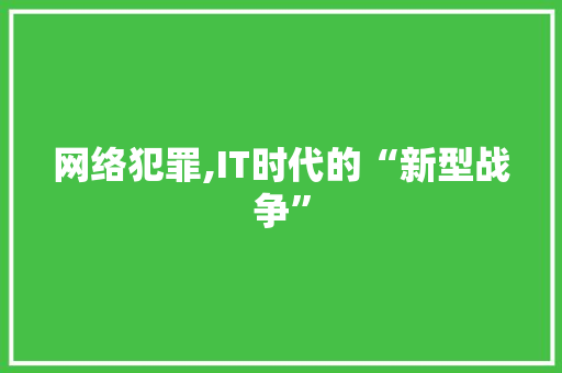 网络犯罪,IT时代的“新型战争”