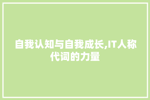 自我认知与自我成长,IT人称代词的力量