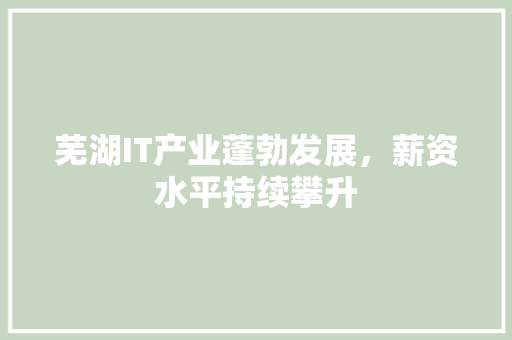 芜湖IT产业蓬勃发展，薪资水平持续攀升