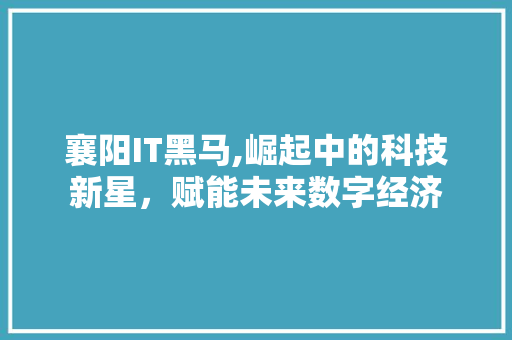 襄阳IT黑马,崛起中的科技新星，赋能未来数字经济