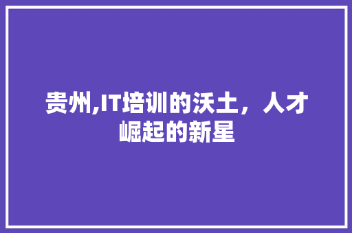 贵州,IT培训的沃土，人才崛起的新星