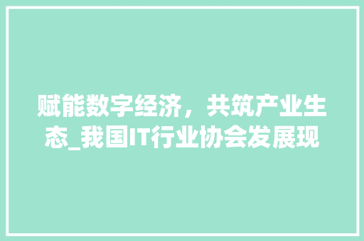 赋能数字经济，共筑产业生态_我国IT行业协会发展现状与展望