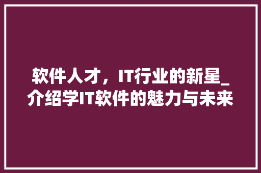 软件人才，IT行业的新星_介绍学IT软件的魅力与未来