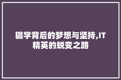 辍学背后的梦想与坚持,IT精英的蜕变之路