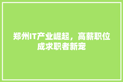 郑州IT产业崛起，高薪职位成求职者新宠