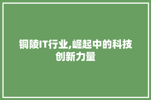 铜陵IT行业,崛起中的科技创新力量