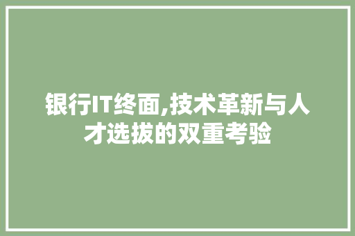 银行IT终面,技术革新与人才选拔的双重考验