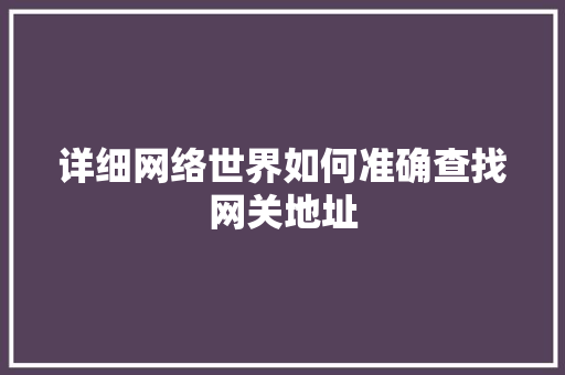 详细网络世界如何准确查找网关地址