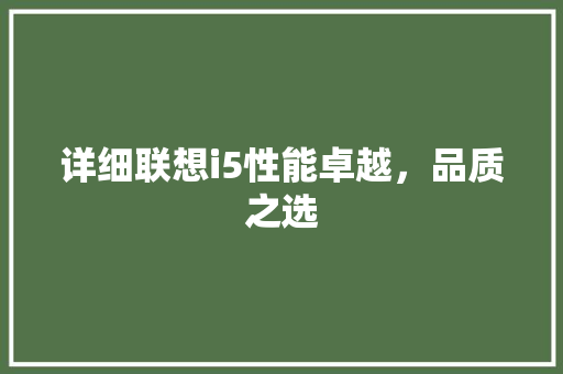 详细联想i5性能卓越，品质之选