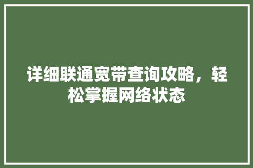 详细联通宽带查询攻略，轻松掌握网络状态