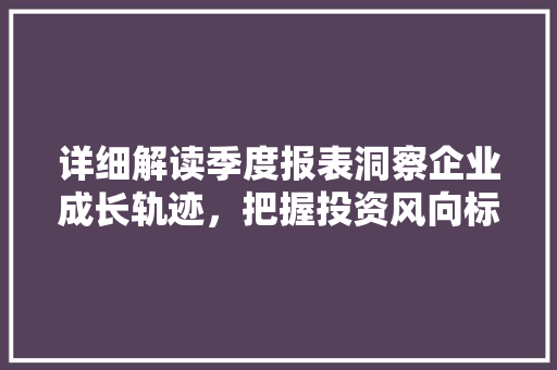 详细解读季度报表洞察企业成长轨迹，把握投资风向标