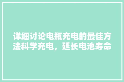 详细讨论电瓶充电的最佳方法科学充电，延长电池寿命