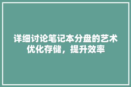 详细讨论笔记本分盘的艺术优化存储，提升效率