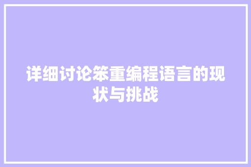 详细讨论笨重编程语言的现状与挑战