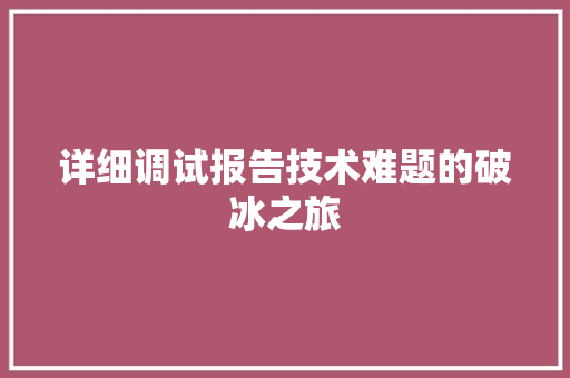 详细调试报告技术难题的破冰之旅