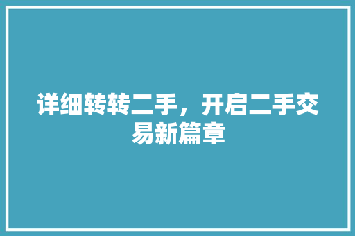 详细转转二手，开启二手交易新篇章