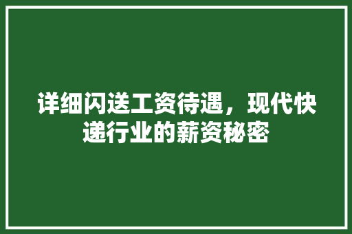 详细闪送工资待遇，现代快递行业的薪资秘密