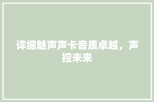 详细魅声声卡音质卓越，声控未来