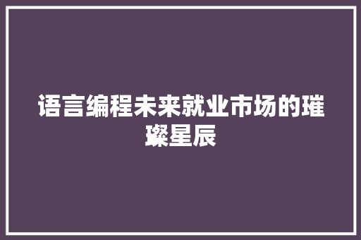 语言编程未来就业市场的璀璨星辰