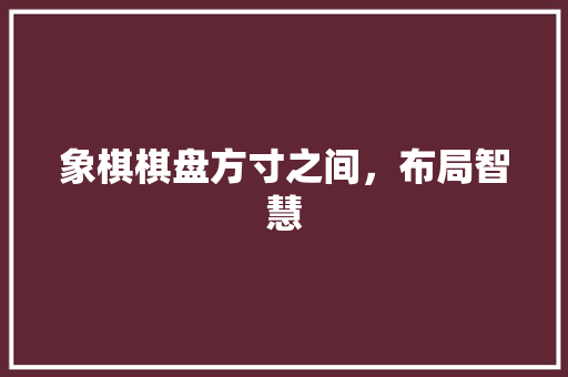 象棋棋盘方寸之间，布局智慧