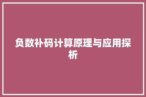 负数补码计算原理与应用探析