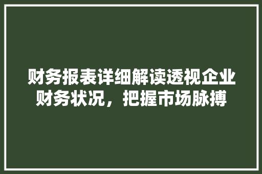 财务报表详细解读透视企业财务状况，把握市场脉搏