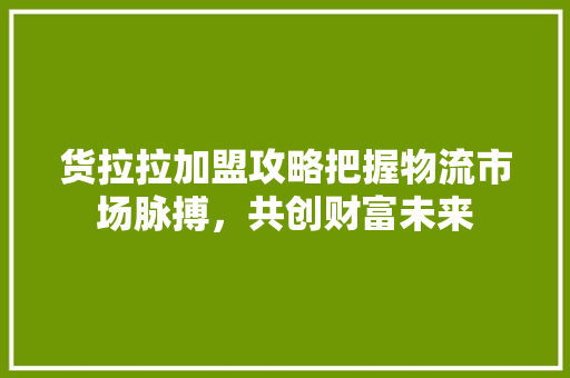 货拉拉加盟攻略把握物流市场脉搏，共创财富未来