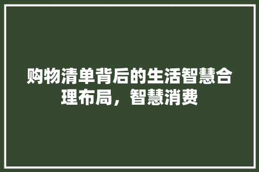 购物清单背后的生活智慧合理布局，智慧消费