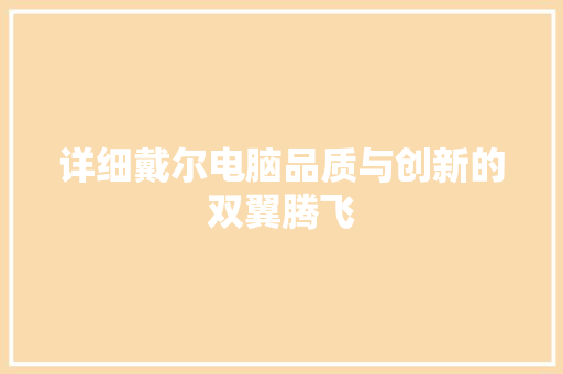 详细戴尔电脑品质与创新的双翼腾飞