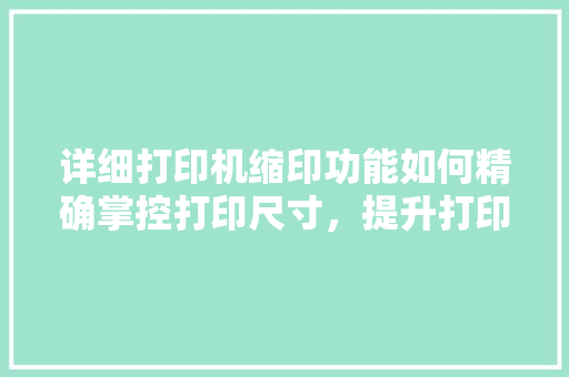 详细打印机缩印功能如何精确掌控打印尺寸，提升打印效率