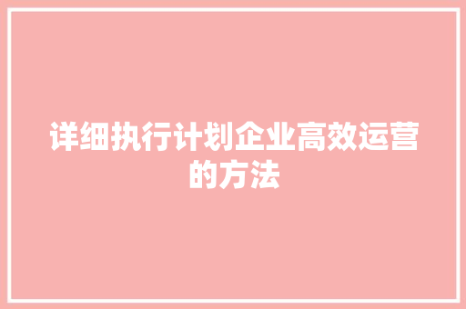 详细执行计划企业高效运营的方法