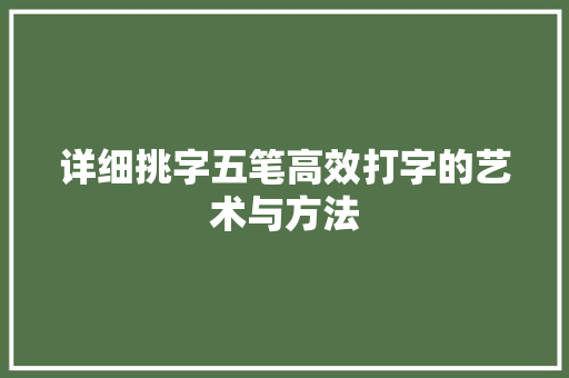 详细挑字五笔高效打字的艺术与方法