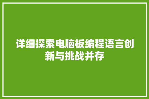 详细探索电脑板编程语言创新与挑战并存