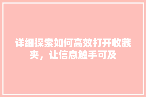 详细探索如何高效打开收藏夹，让信息触手可及