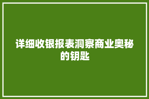 详细收银报表洞察商业奥秘的钥匙