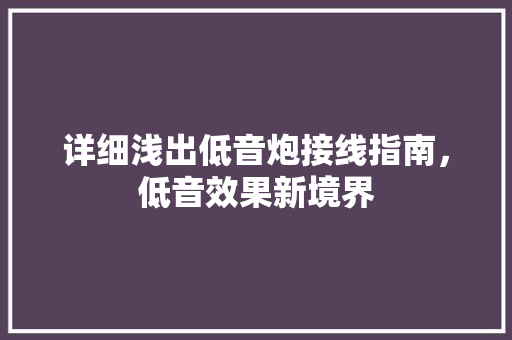 详细浅出低音炮接线指南，低音效果新境界