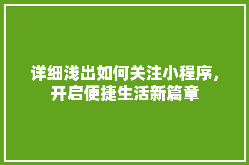 详细浅出如何关注小程序，开启便捷生活新篇章