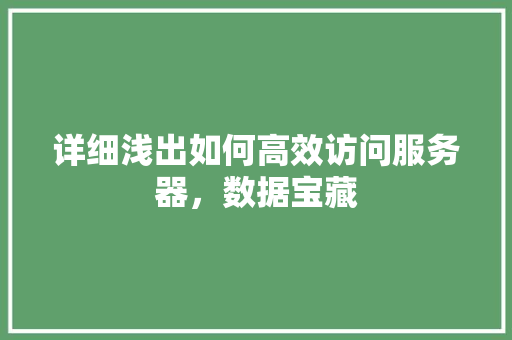 详细浅出如何高效访问服务器，数据宝藏