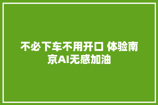 不必下车不用开口 体验南京AI无感加油