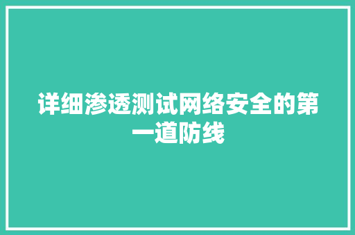 详细渗透测试网络安全的第一道防线