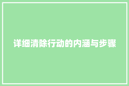 详细清除行动的内涵与步骤