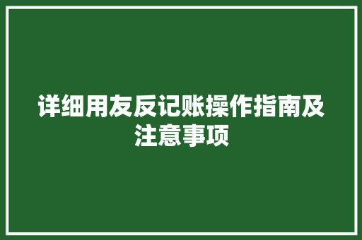 详细用友反记账操作指南及注意事项