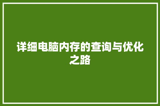 详细电脑内存的查询与优化之路